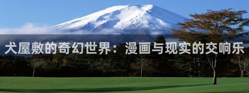 无根之树奇漫屋